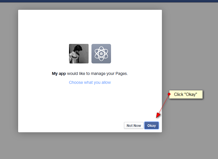 Facebook Publish WordPress Plugin step 4